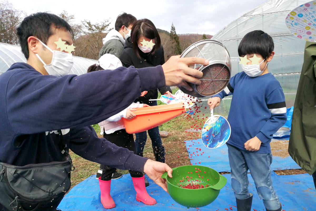 大発明!ざるからざるへ移す間にあおいであおいで!