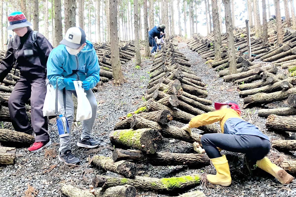 大人も子供も夢中になって収穫しました。