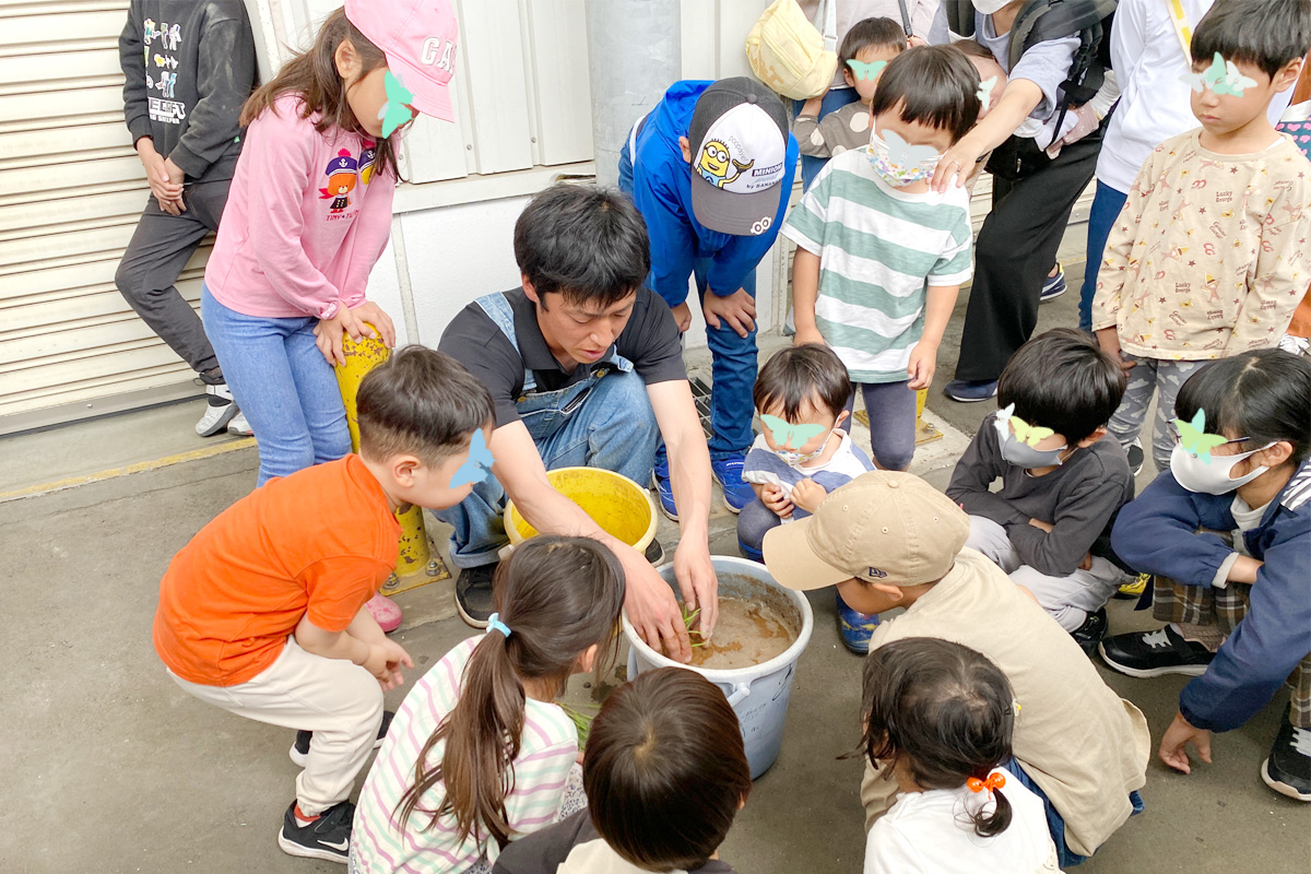 田植えのやり方説明
