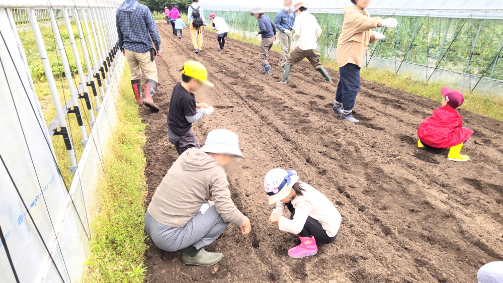 どんな風に育つかな?