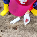 大事に種をまきます。
