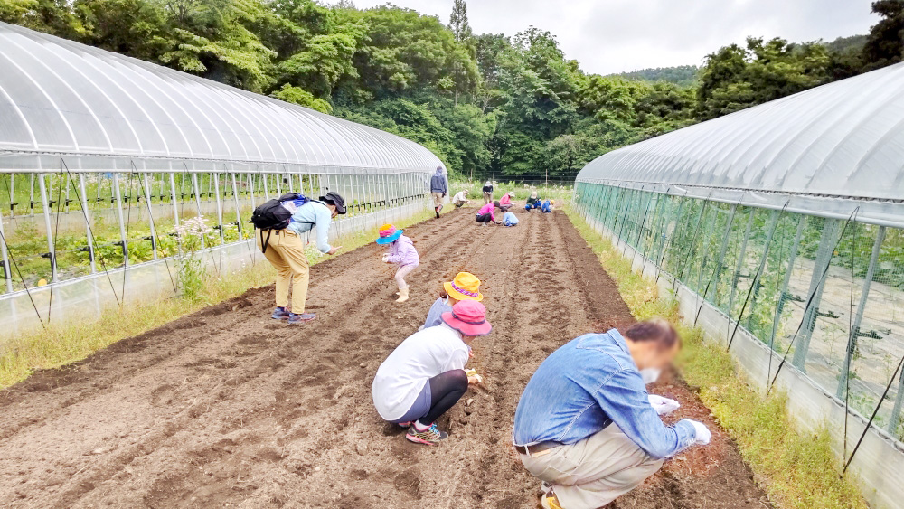 次回はどれ位成長しているか楽しみです。