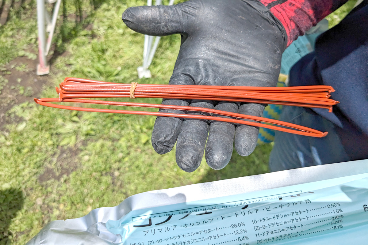 コンフューザーで虫を増やさないための対策