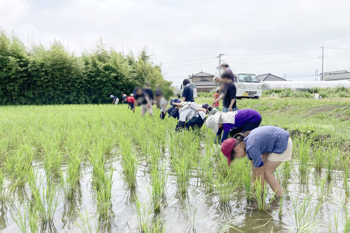草取り頑張るぞ!