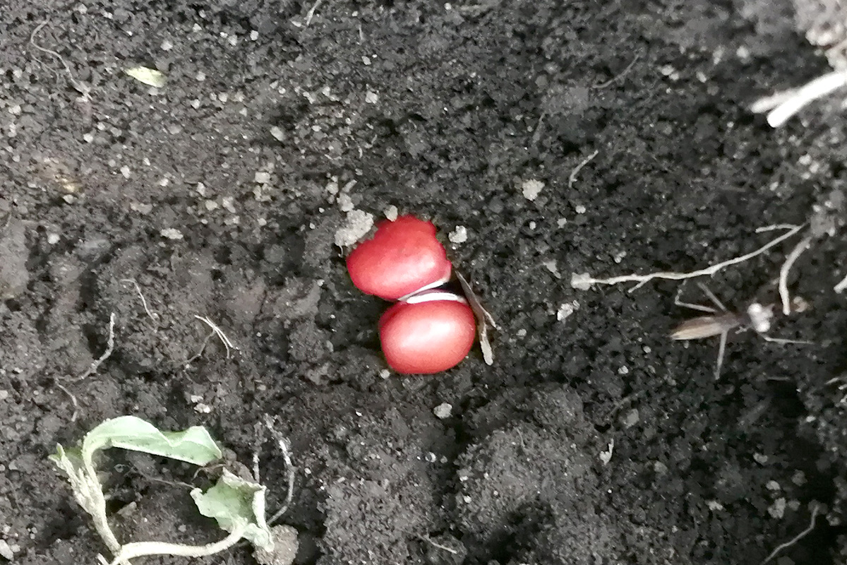 1つの穴に二つずつ