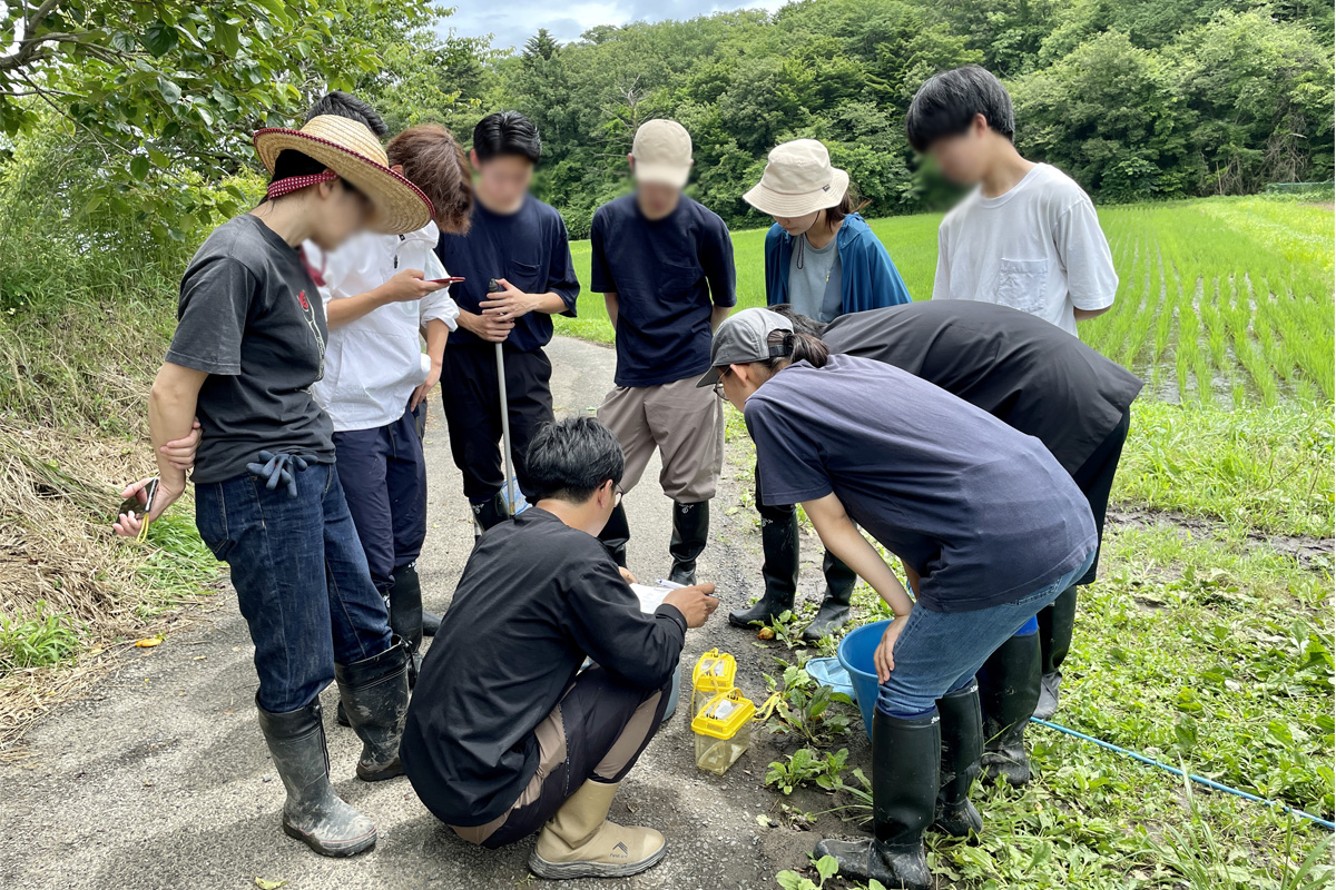 学生たちの生き物観察会