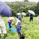 水中の生き物に狙いを定めて