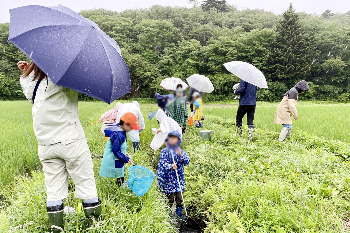 水中の生き物に狙いを定めて