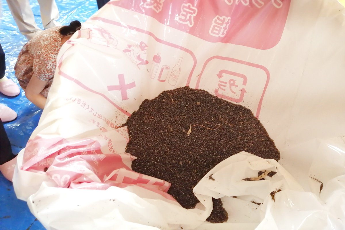 こんなにたくさんとれました!