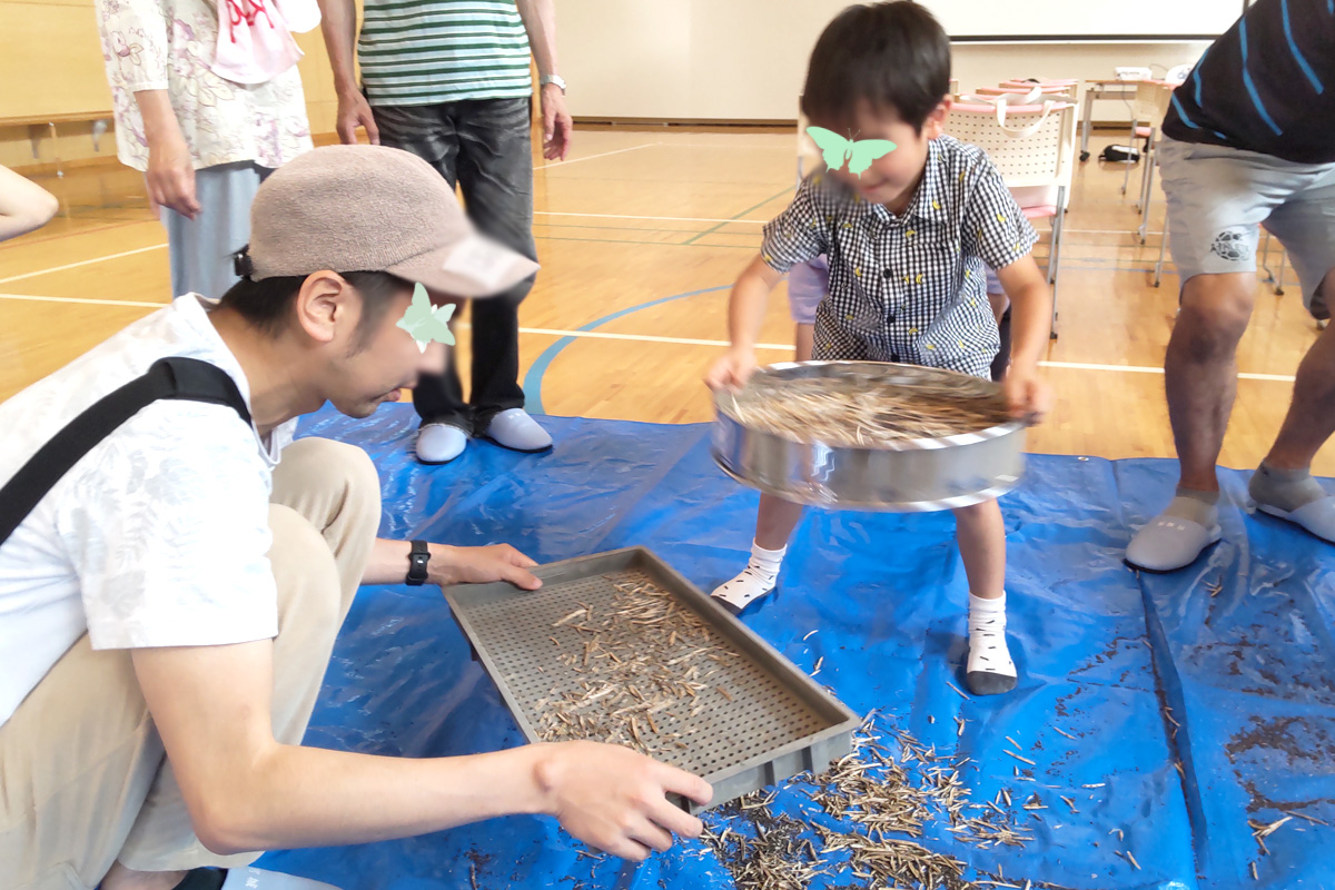 ざるでふるうと種だけ下に落ちます