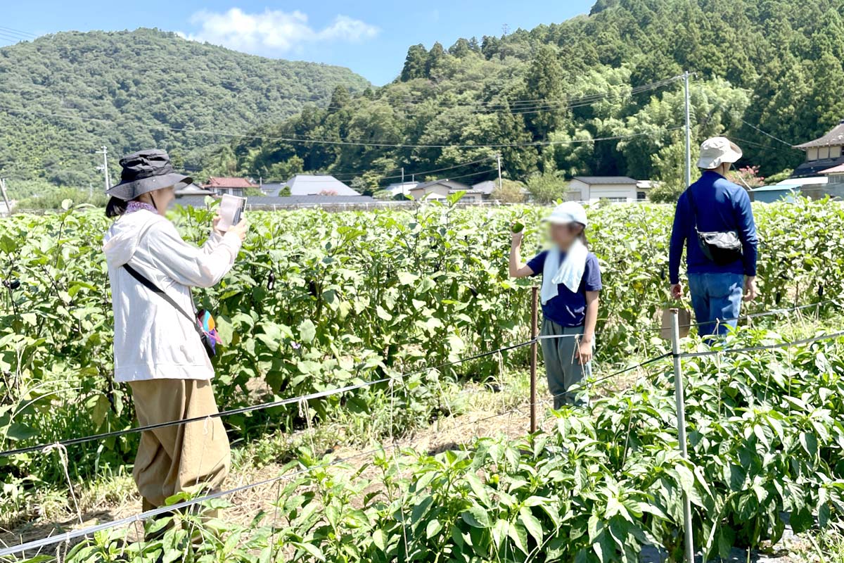 採った野菜と記念撮影