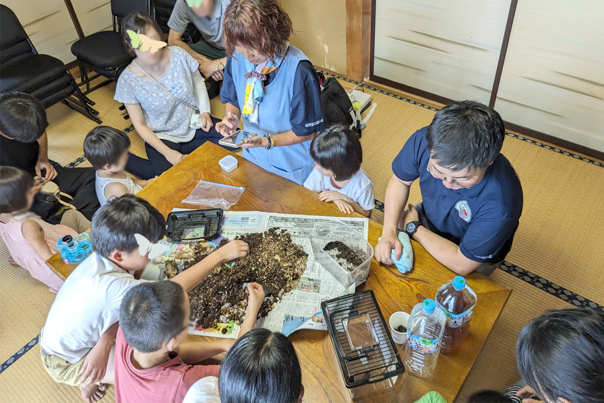 生産者の奥様による昆虫観察会