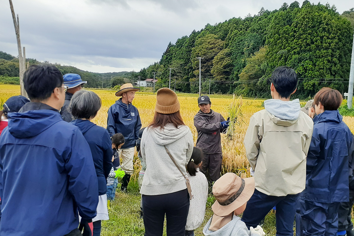 西塚さん親子から今年の稲についてのお話