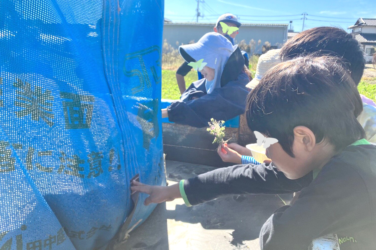 こんなに沢山収穫できました