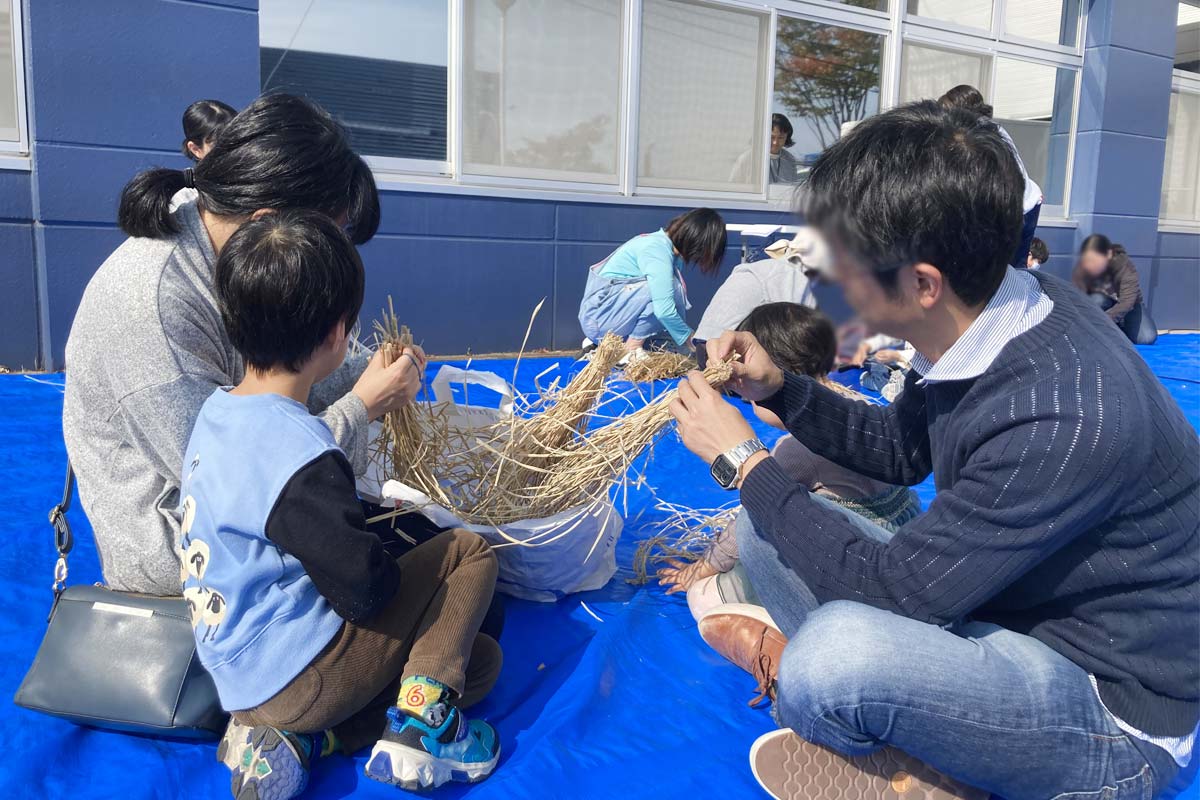 株の茎数を数えます