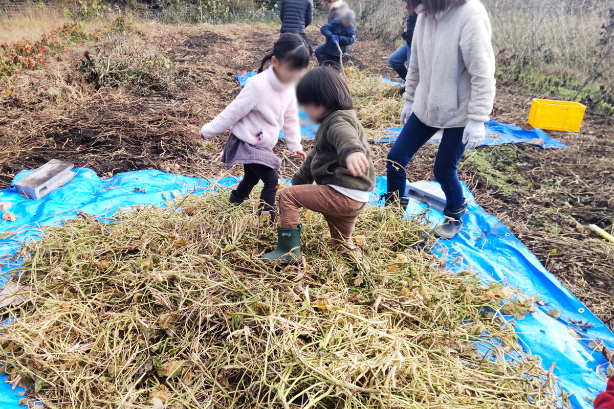 足ふみ脱穀♪