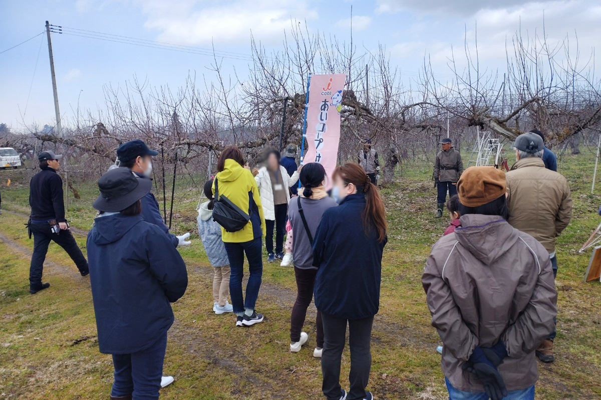 園地に移動してりんごの樹とご対面