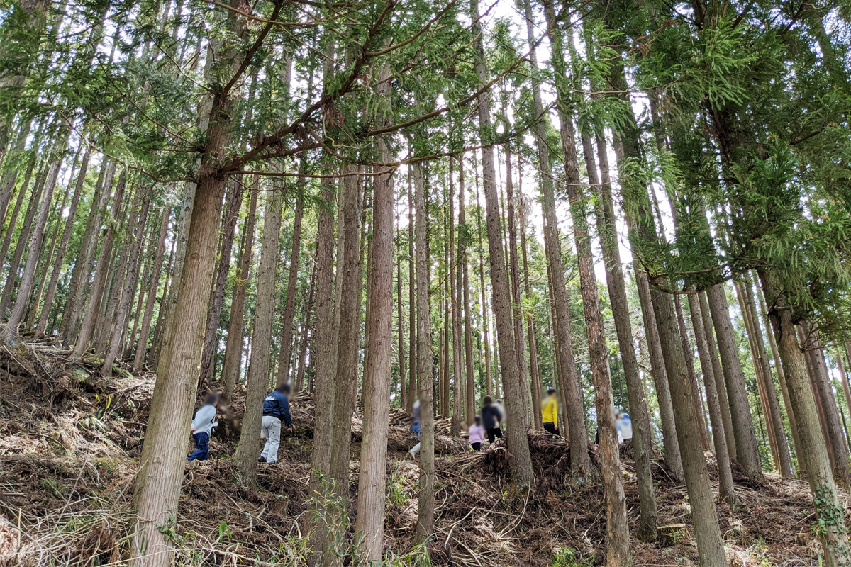 斜面を登って山のほだ場へ