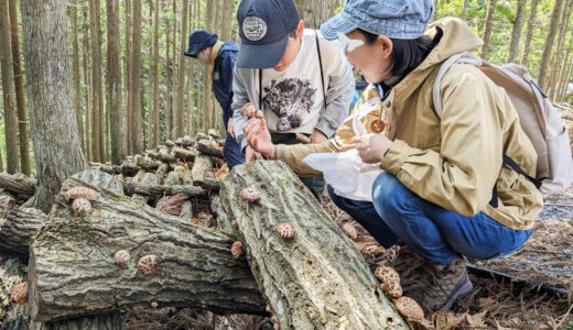 4/6 「旬は春！宮城の原木椎茸見学会」開催