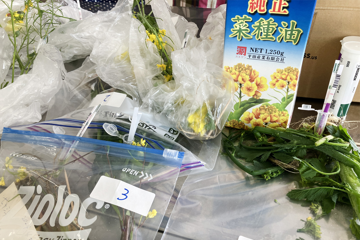 地区委員が持ち寄ってくれたたくさんの検体