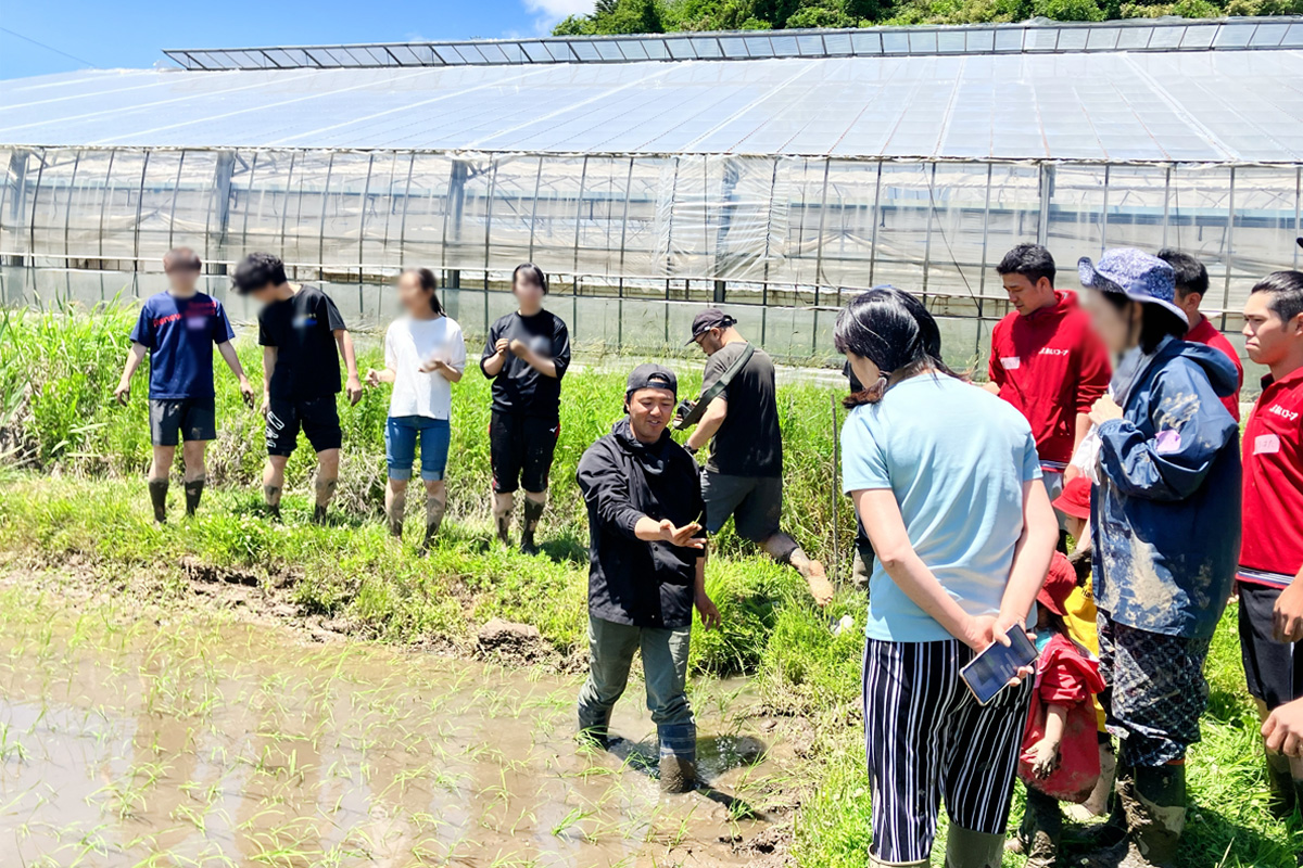 西塚さんから田植えの仕方を教わっています