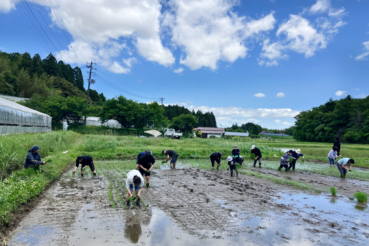 大学生チームも頑張っていました。