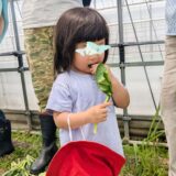 6/22 大郷ふゆ水たんぼ草取り2回目