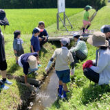 6/29 七郷トライ田んぼ 除草&産地見学