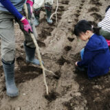 7/6 たねまきプロジェクト2024 種まき