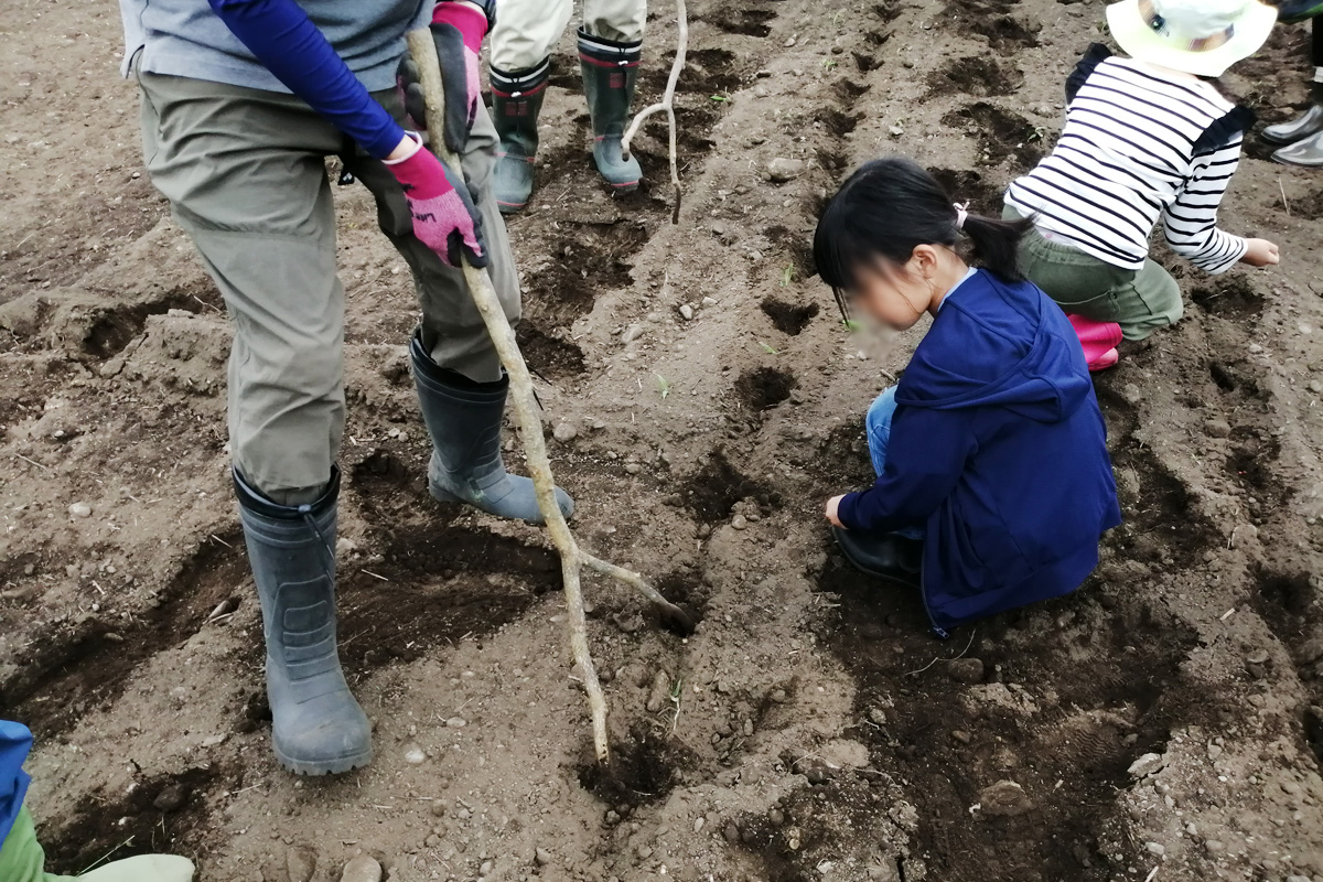 渡辺さんの秘密道具