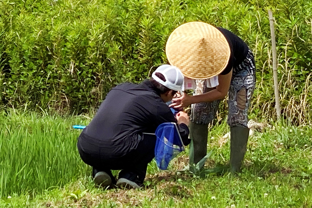 学生さんと何が捕れたかな?