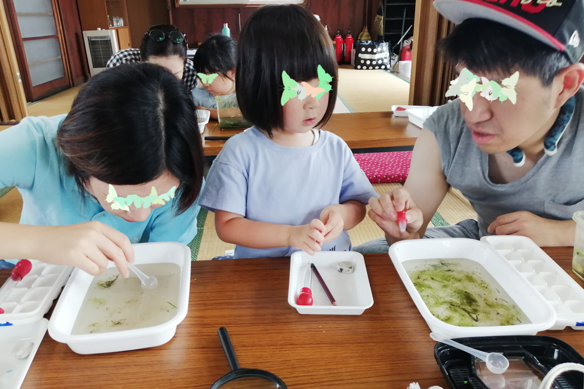 大人も子供も夢中になりました