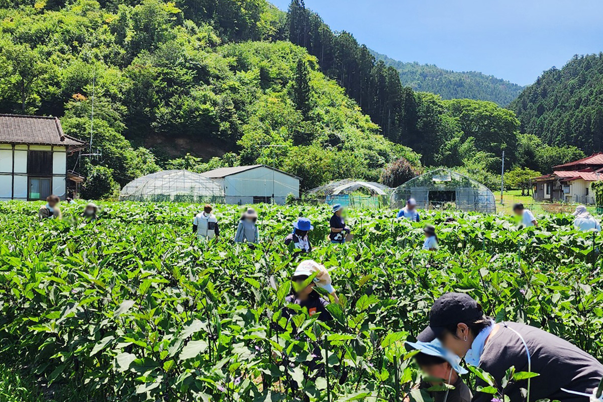大人も子供も夢中です