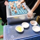 9/11 青葉AB地区委員会 米沢郷牧場平飼いこめたまご見学学習