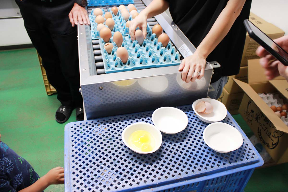 きれいなレモンイエローのたまごだね