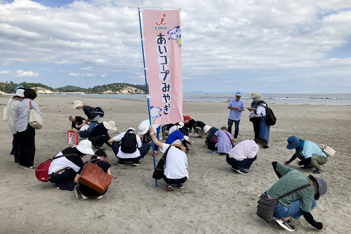 菖蒲田浜でレジンペレットを拾う