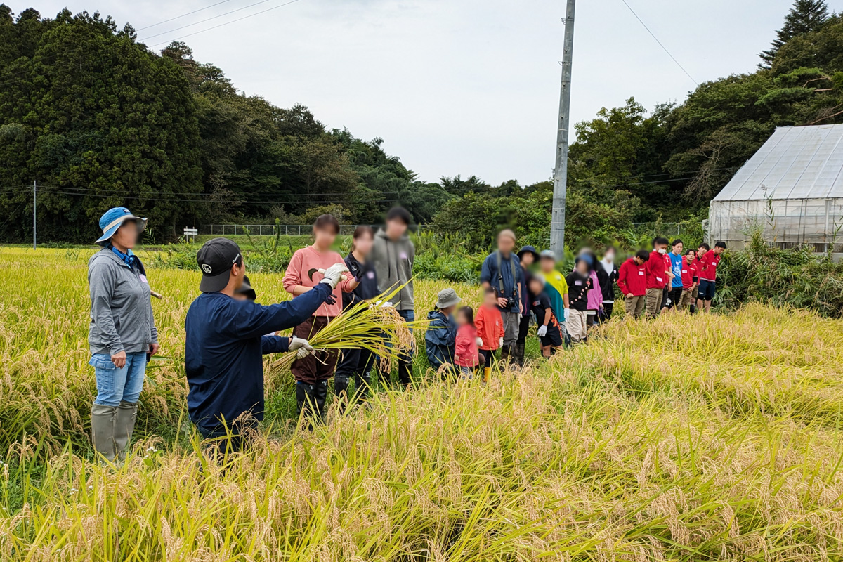 刈り取り方法を生産者の西塚さんから説明