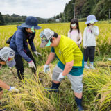 9/28 大郷交流田稲刈り