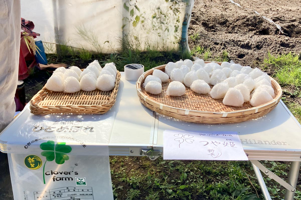 新米おにぎり!