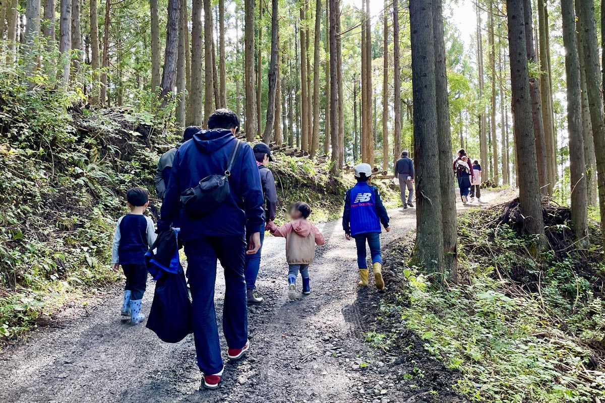 木漏れ日の中、ほだ場を目指して