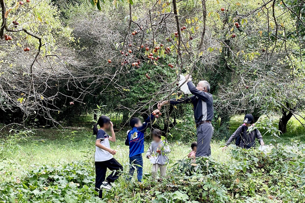 椎茸収穫のかわりに、里山の恵でおもてなし!