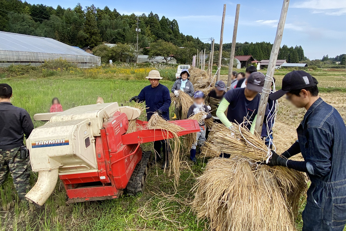 昭和生まれのハーベスタ