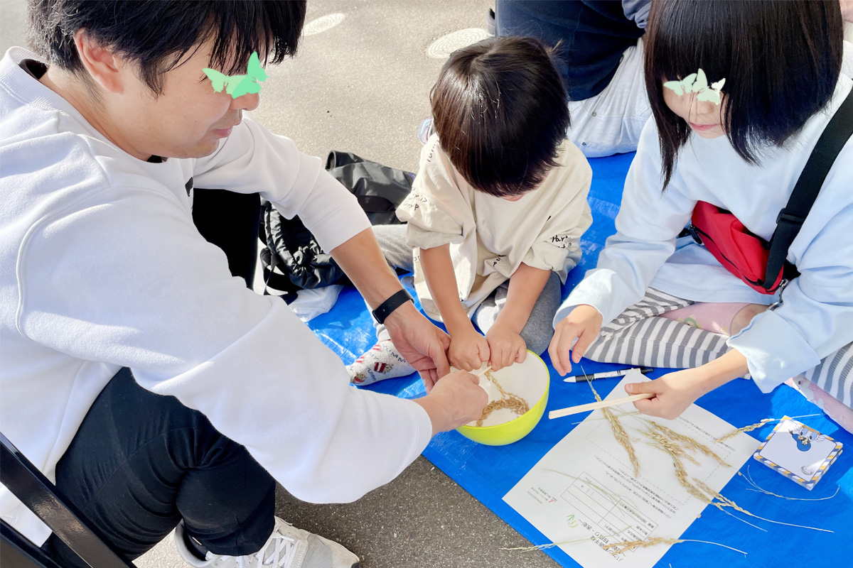 割りばしを使って大事に脱穀