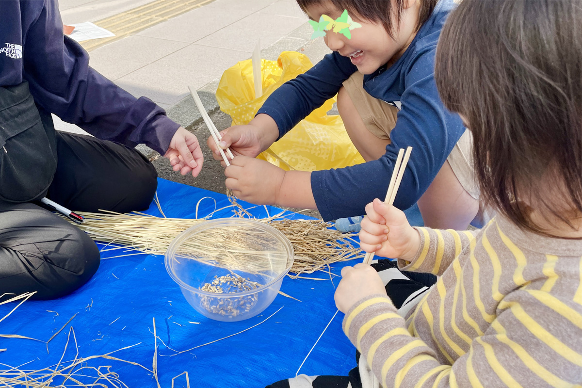 脱穀作業楽しんでくれてるみたい