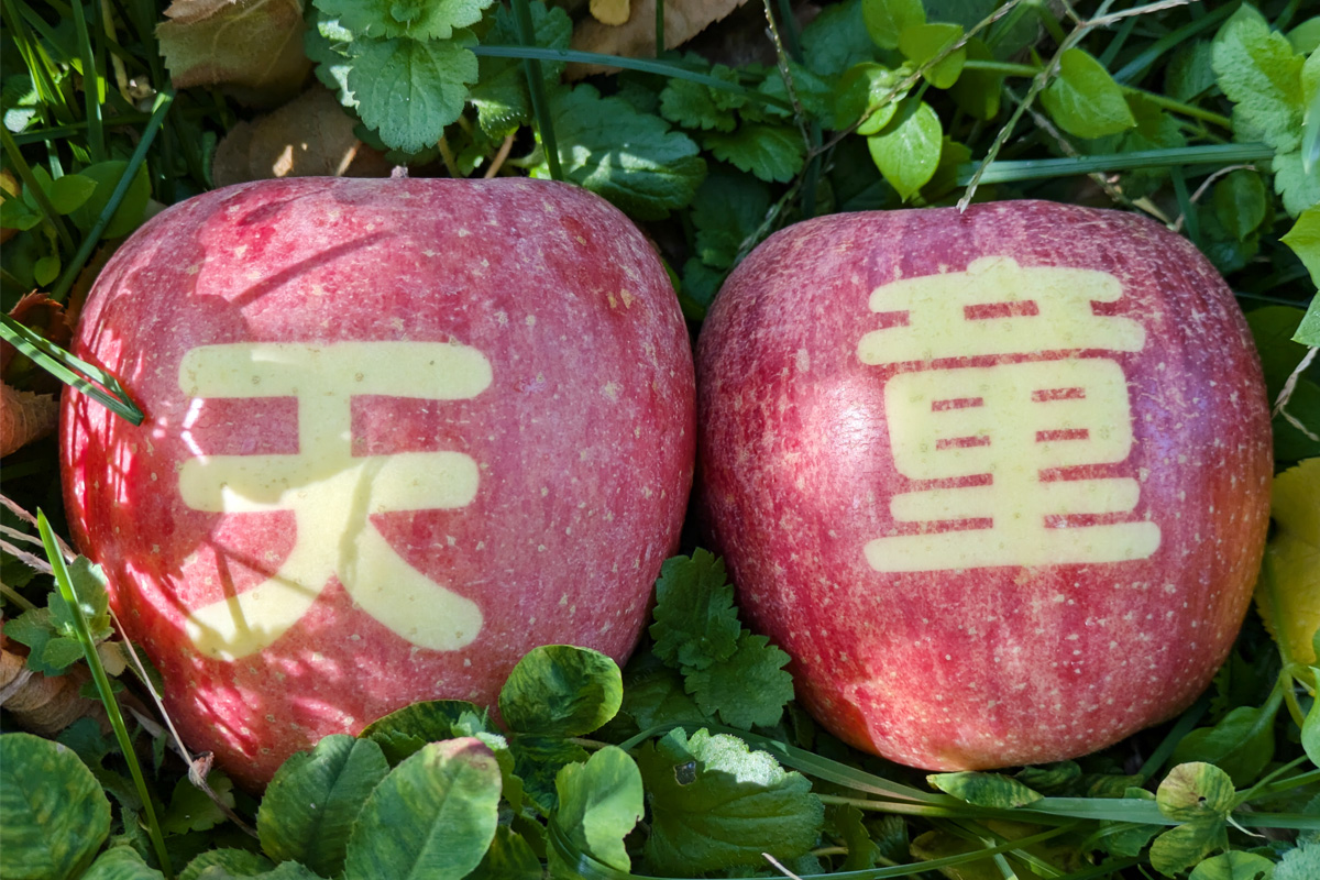 今年も天童の生産者さんに感謝