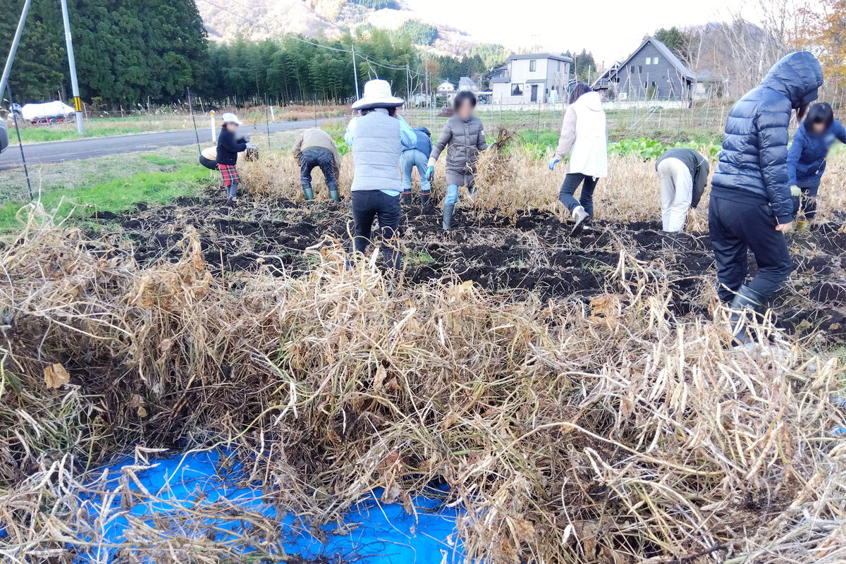 みんなで脱穀作業
