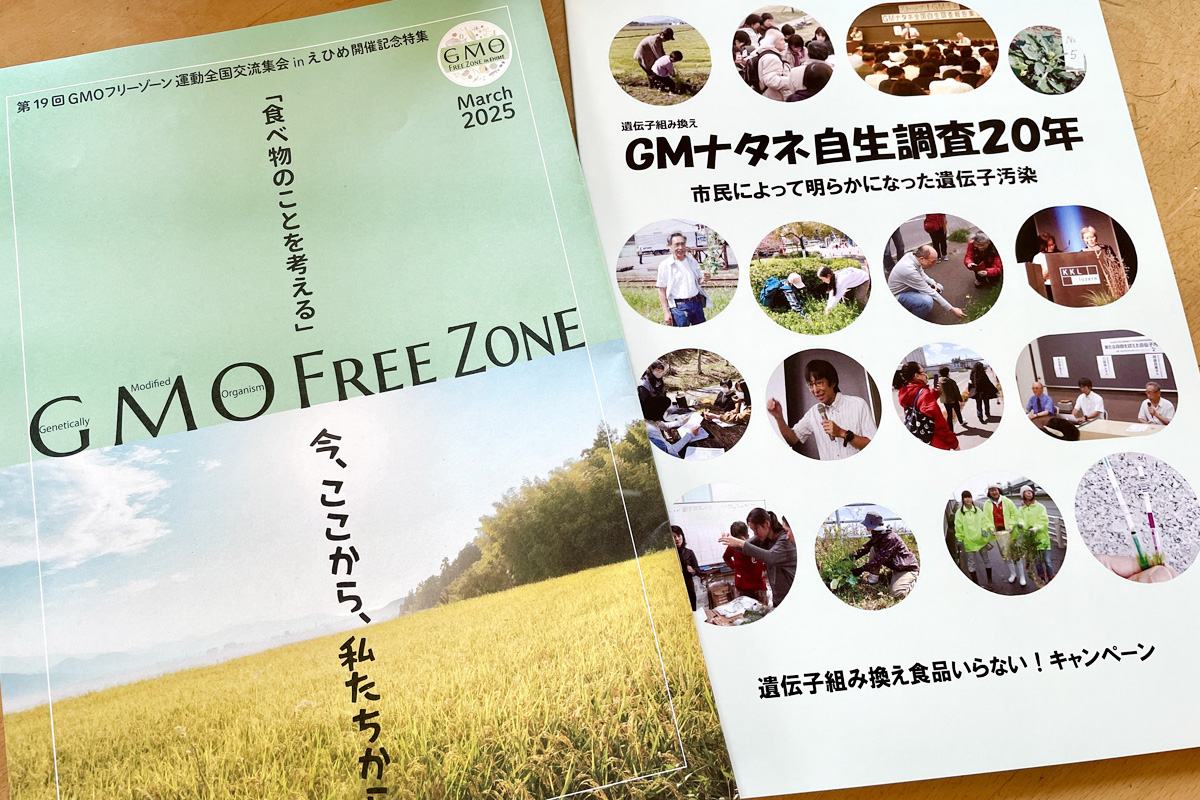 20年に渡るGMナタネ自生調査のデータをまとめた冊子が完成しました