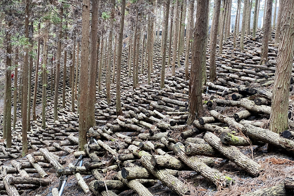 ビッシリと組まれたホダ木