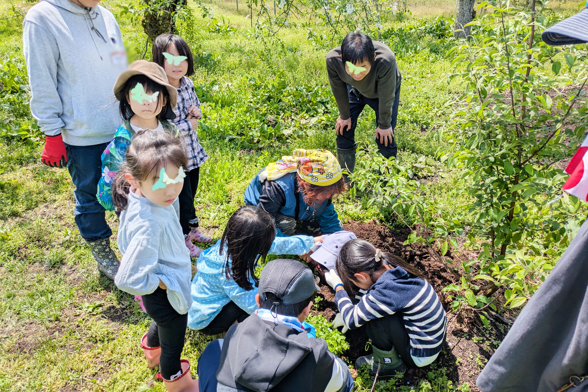 「カブトムシの幼虫がいるよ！」園地の自然に親しむ子ども達