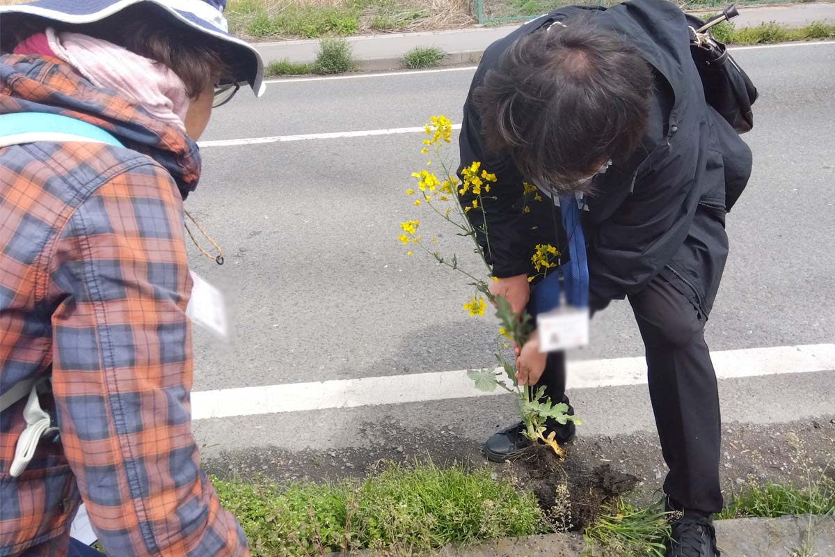 抜き取り完了!